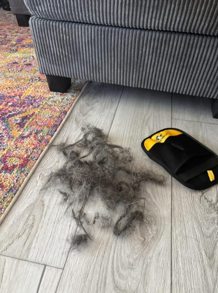 Customer photo review of Guante adiós pelos
