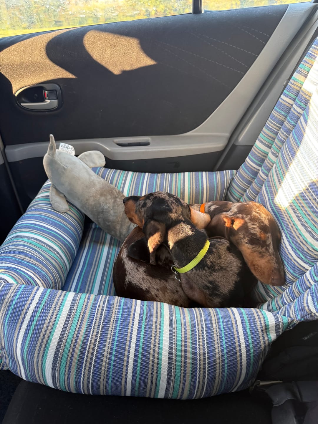Customer photo review of Seggiolino Auto Waterproof Everyday Riviera | Made in Italy | Leo & Luna