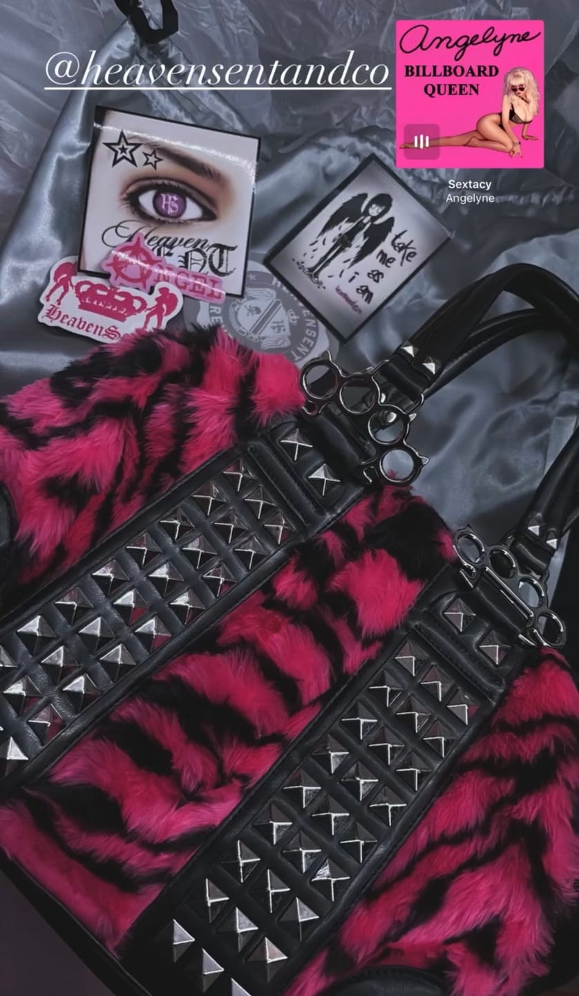 Customer photo review of Bruiser Bag - Zebra