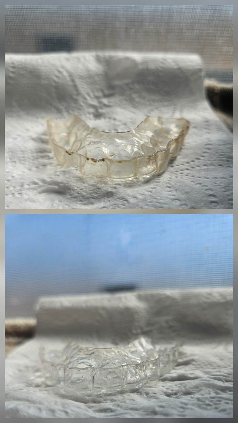Customer photo review of Dental Pod