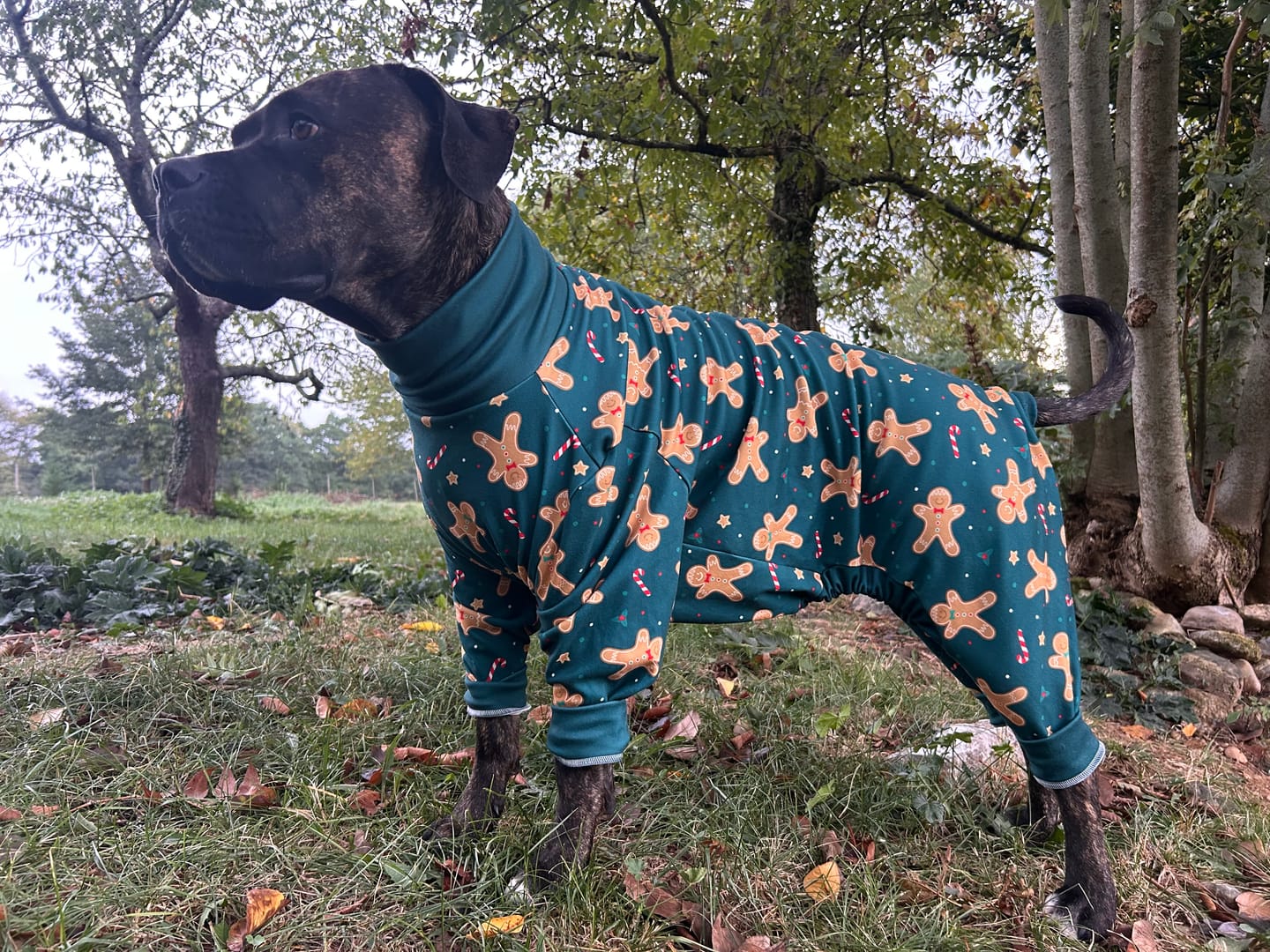 Customer photo review of Dog Christmas Pajama - Gingerbread Man