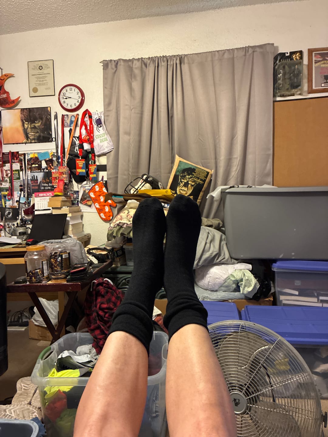 Customer photo review of The Alpaca Socks