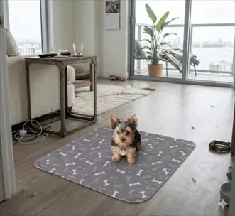 Customer photo review of CalmPaws™ Tapete Absorbente para Perros