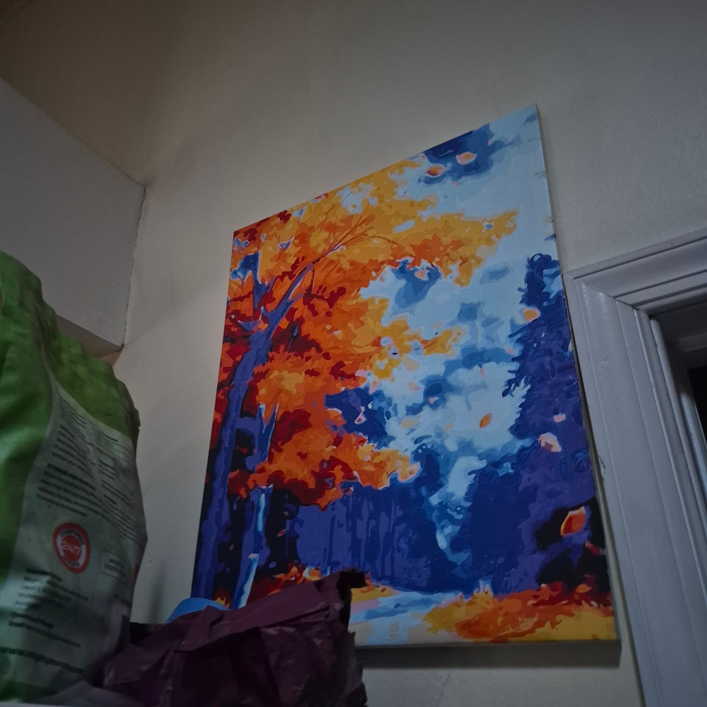 Customer photo review of Paint Your Photo