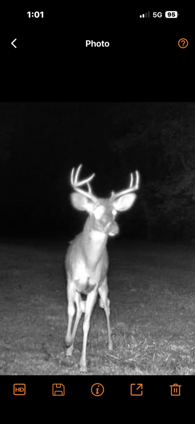 Customer photo review of GardePro Link 1.0 3000ft(1km) Long-Range WiFi Trail Camera