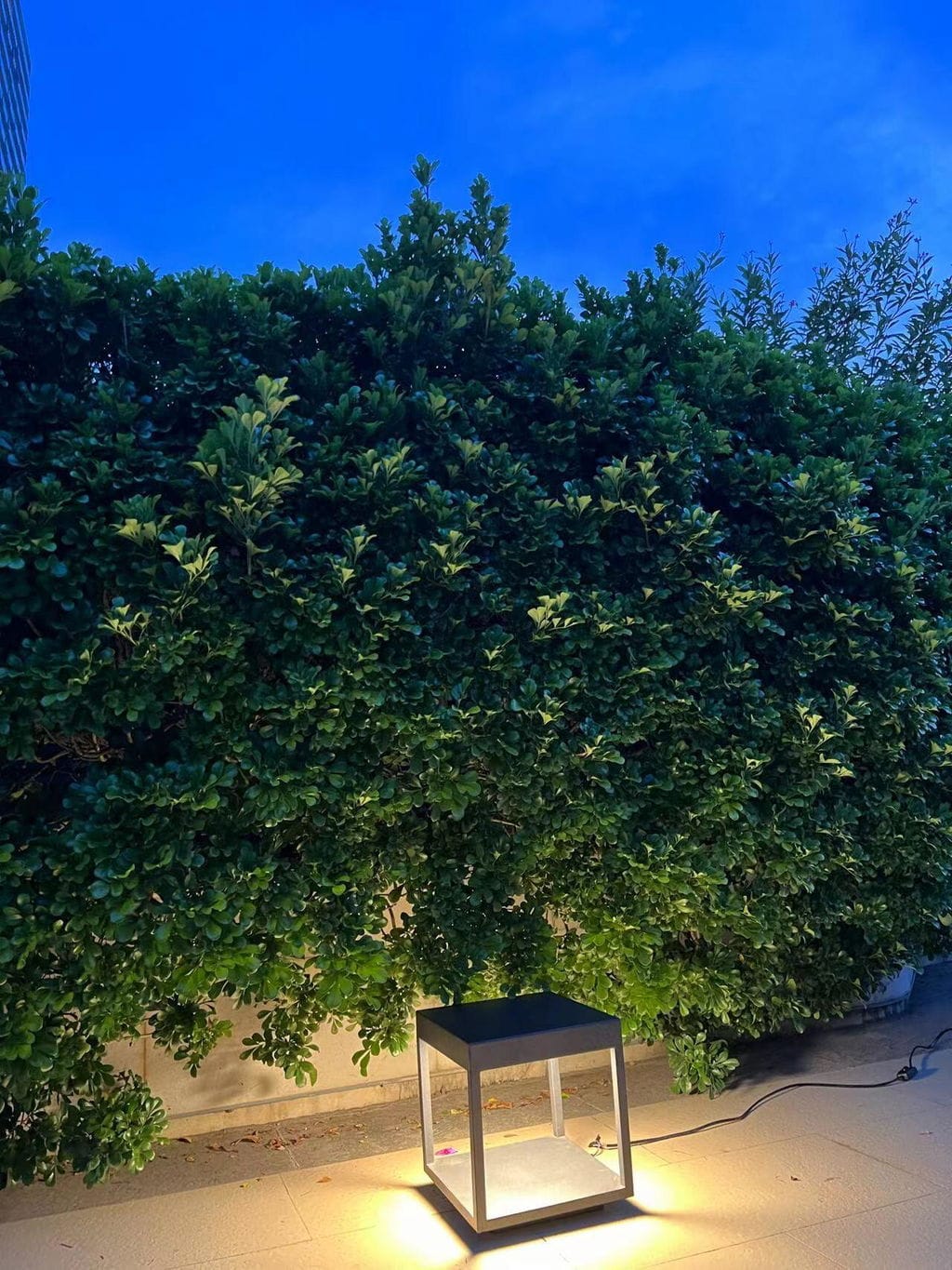 Customer photo review of Outdoor Post Light, Stainless Steel, IP65 Waterproof, Integrated LED