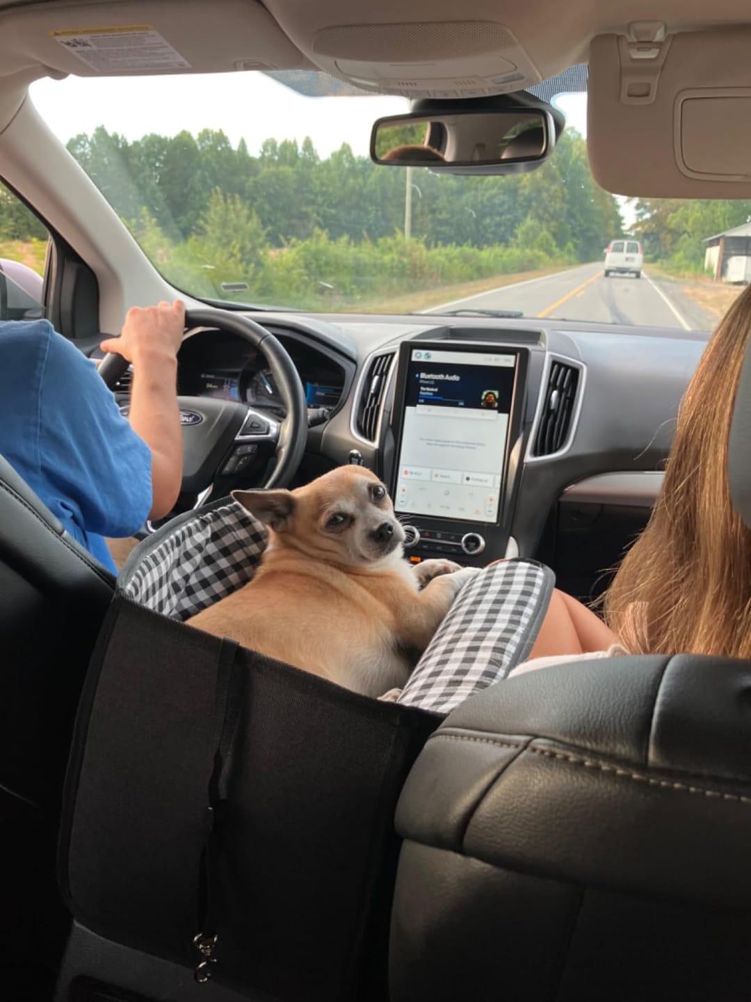 Customer photo review of Console Pet Car Seat