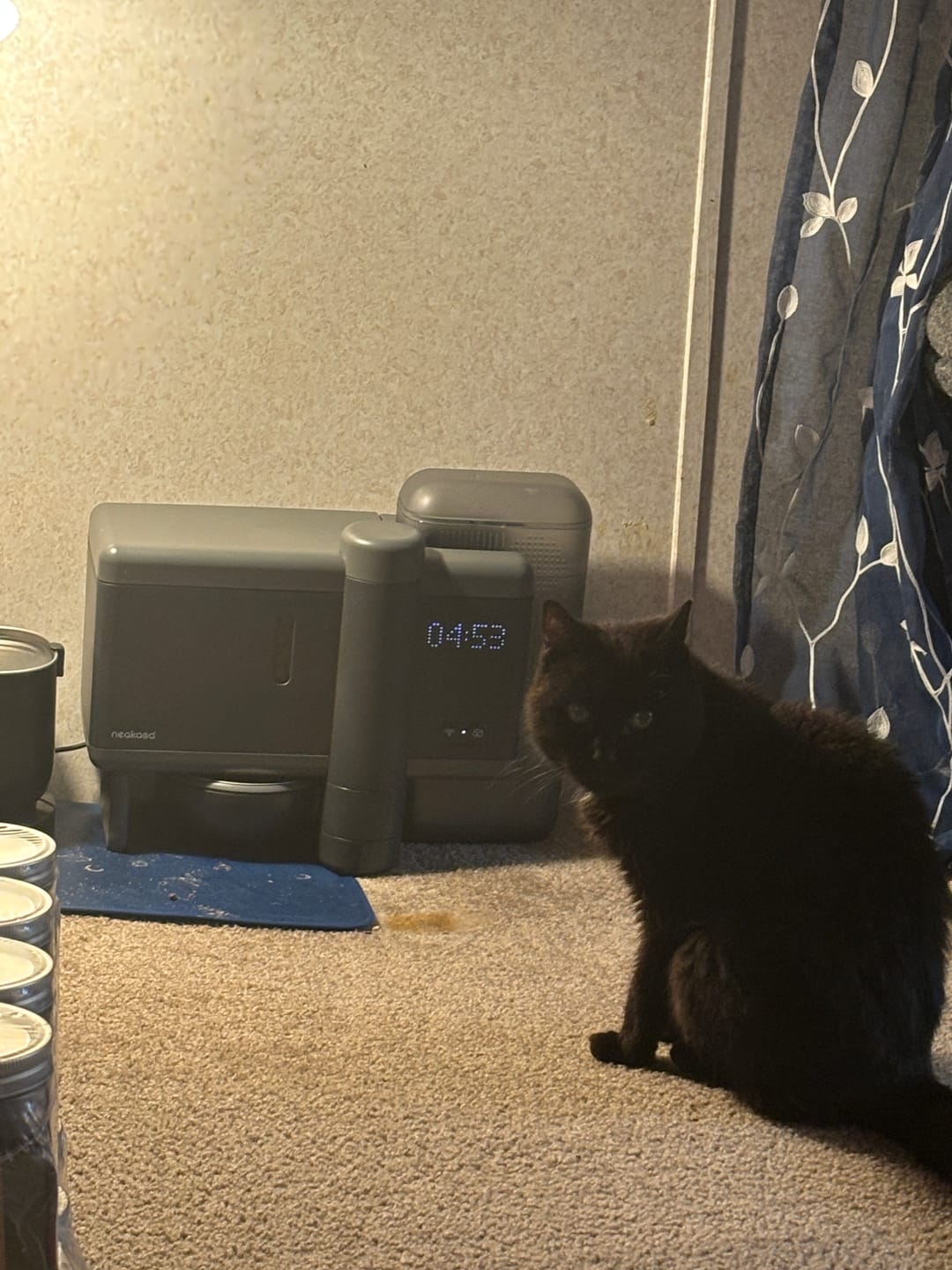 Customer photo review of Neakasa Riko Fresh-Made Automatic Cat Feeder for Wet Food