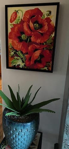 Customer photo review of Coquelicots