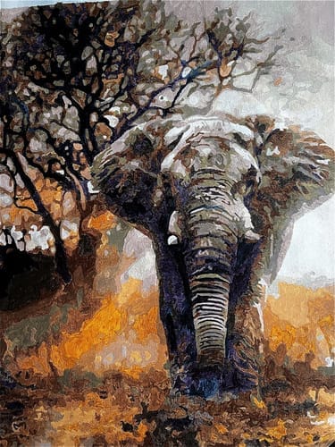 Customer photo review of Eléphant solitaire