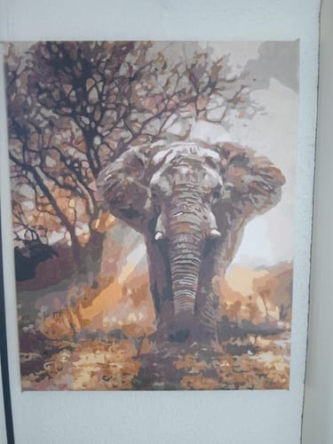 Customer photo review of Eléphant solitaire