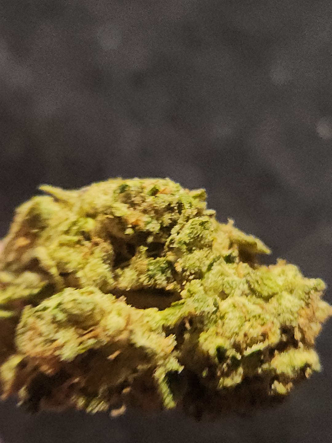 Customer photo review of Gluetopia THCA Flower