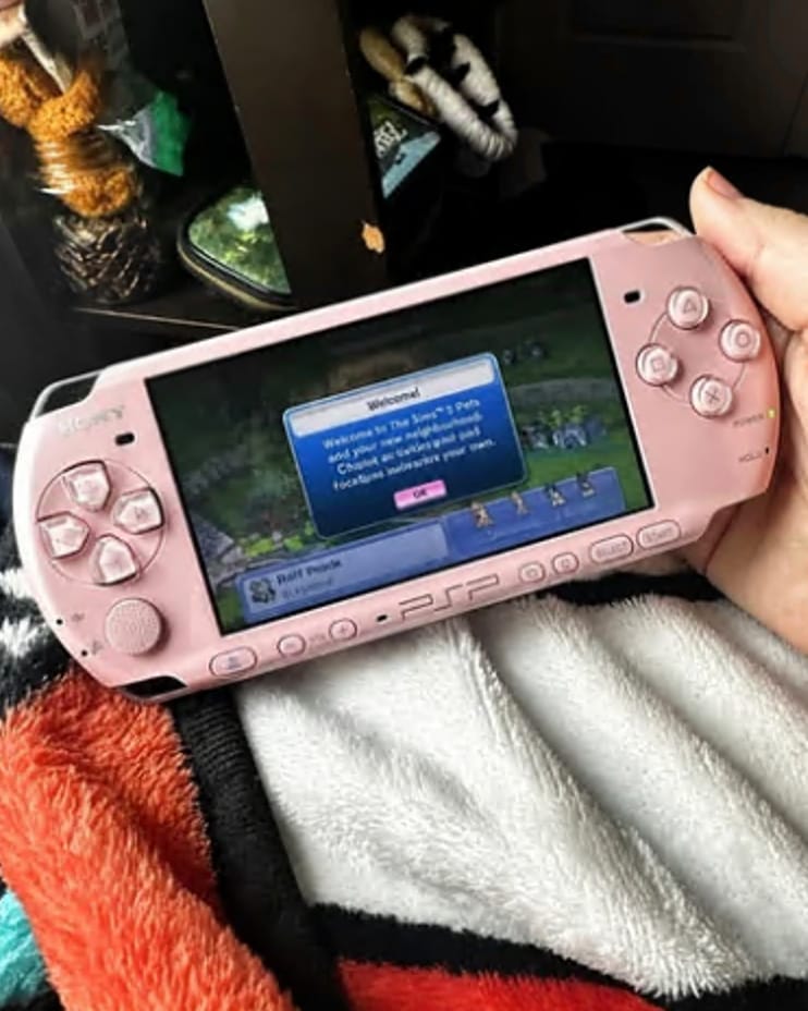 Customer photo review of Portable PSP