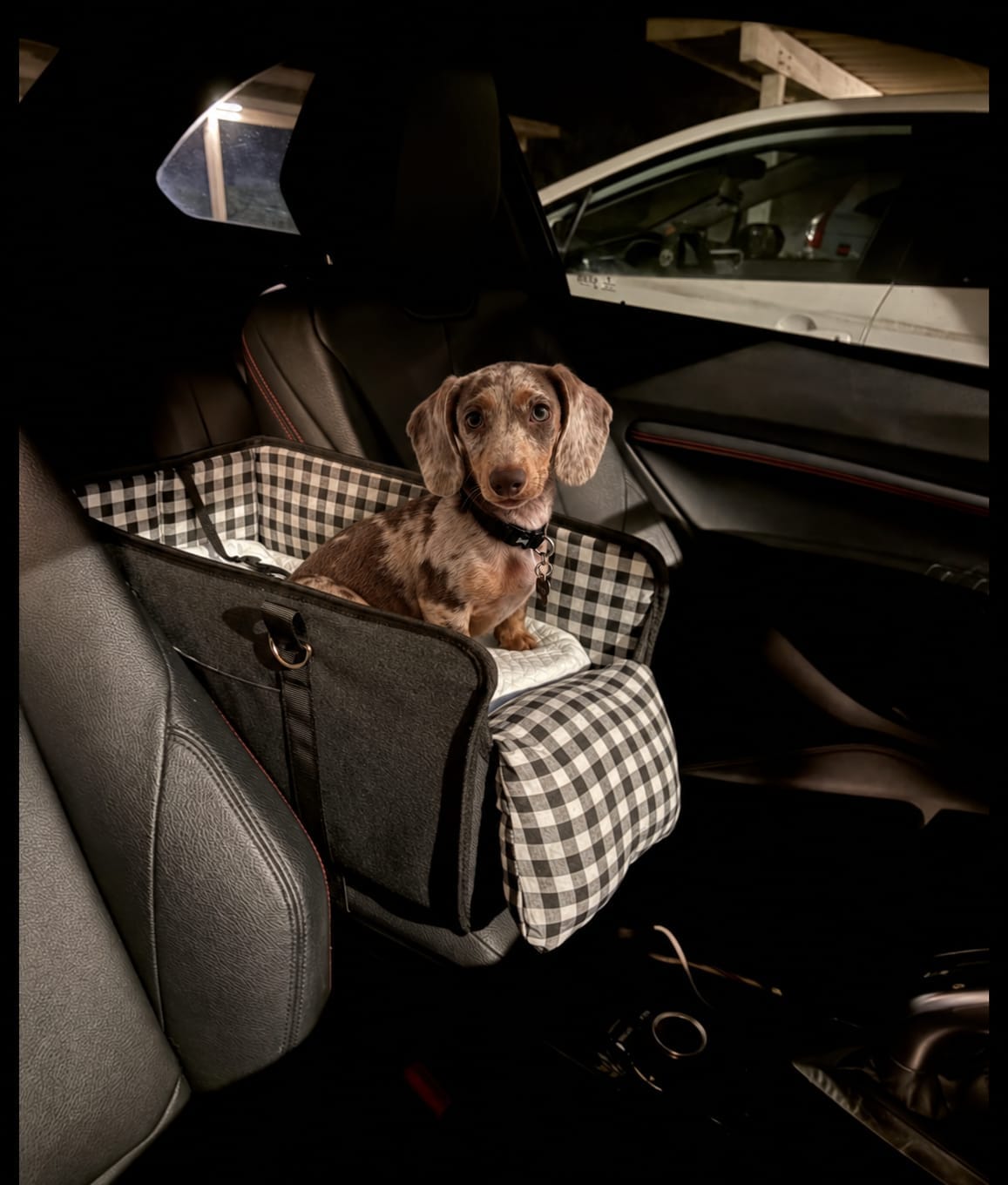 Customer photo review of Console Pet Car Seat