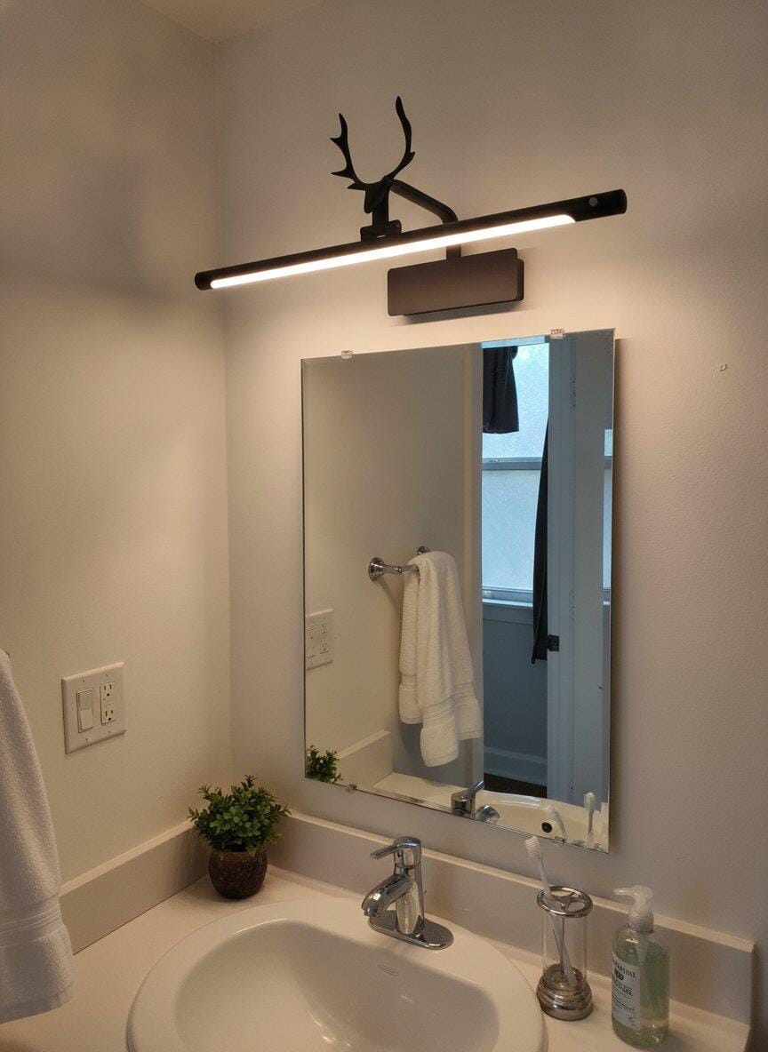 Customer photo review of Wall Sconce, Stag Horn Picture Light, Metal & Acrylic, Integrated LED