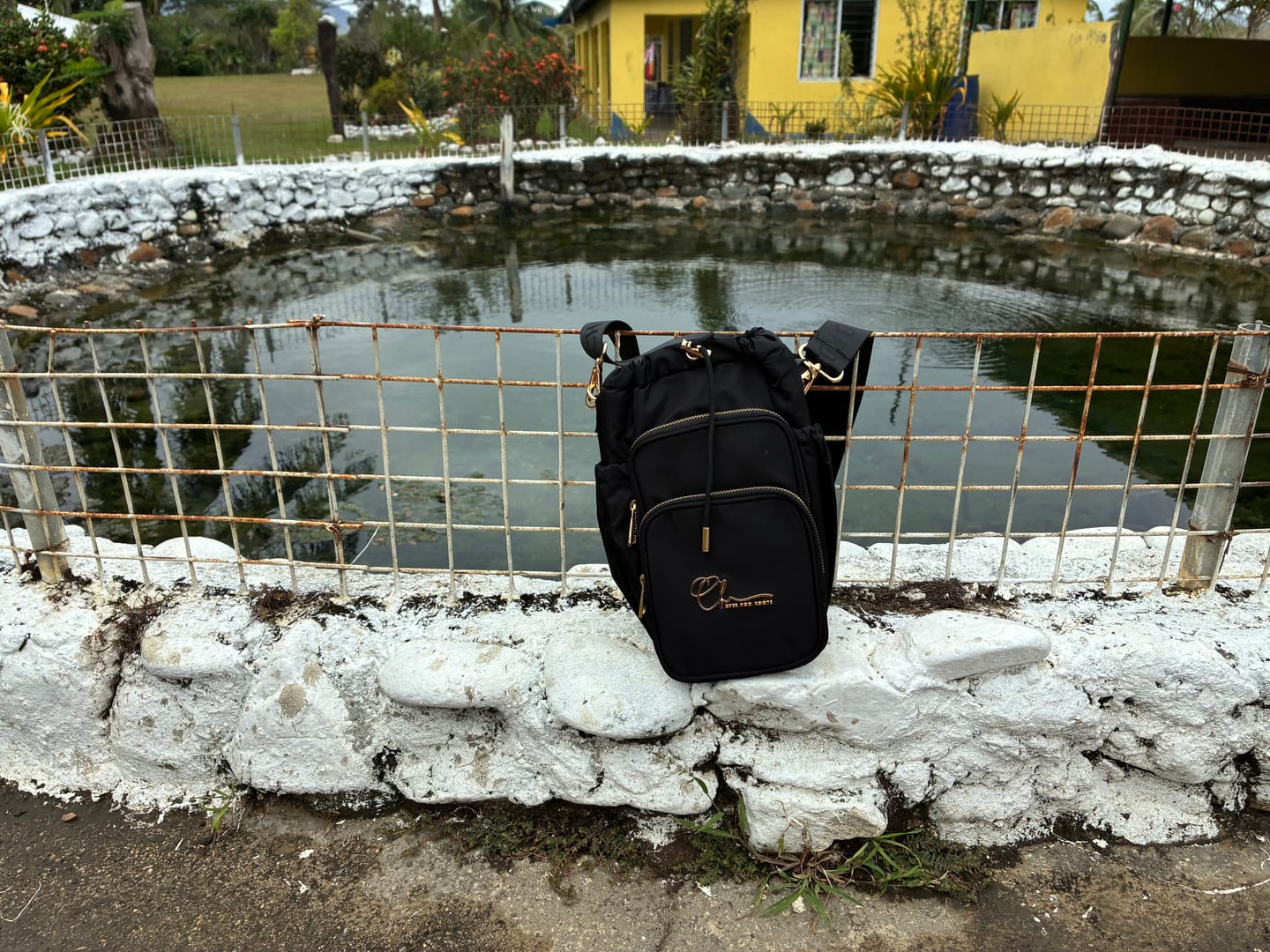 Customer photo review of Black Bag and Mixer Bundle