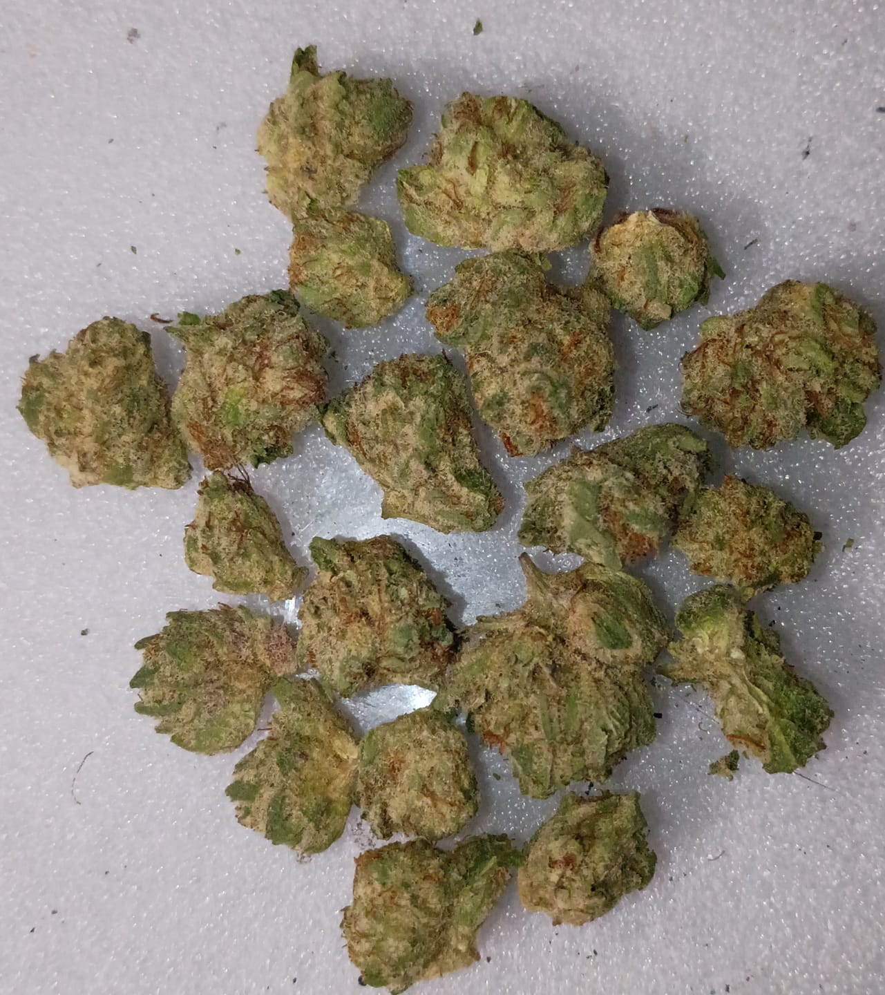 Customer photo review of Lemon Cherry Gelato Smalls - THCA Flower