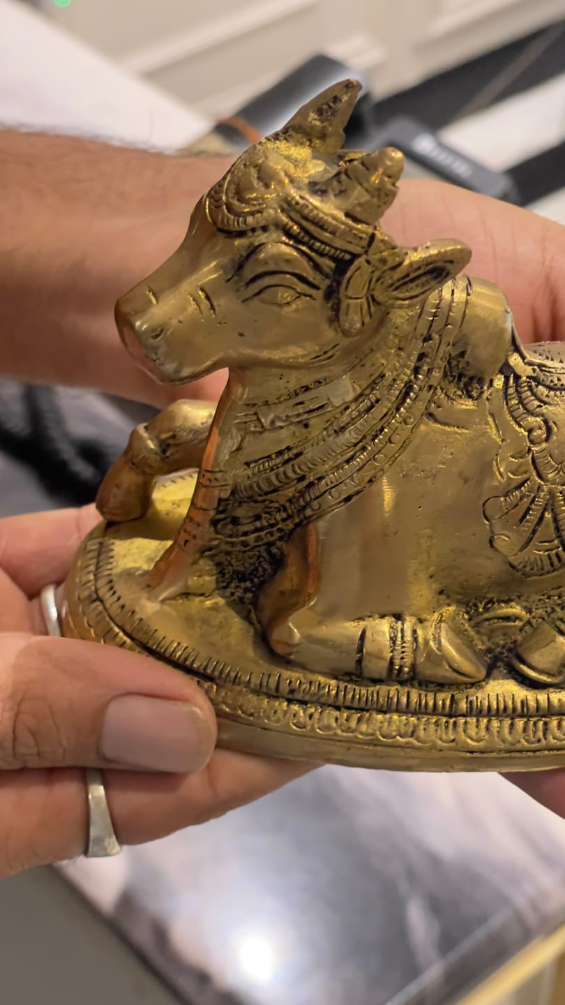 Customer photo review of Handcrafted Pure Brass Nandi Bull Vastu Remedy Idol for Business Stability and South-West Directional Alignment | 14 × 7.5 × 11 cm | 0.9 kg