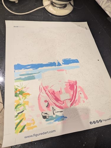 Customer photo review of Voiture rose près de la mer