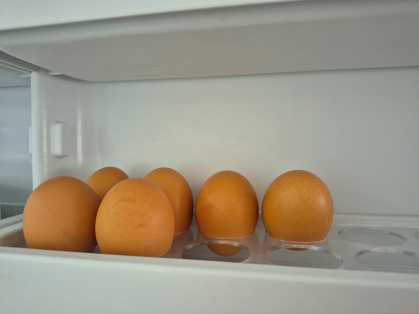 Customer photo review of Enjoy our JUMBO egg selection