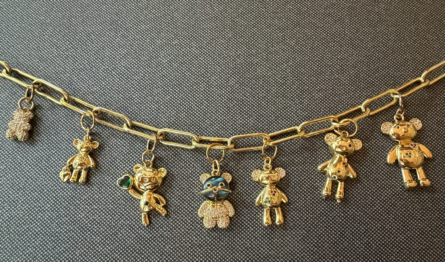 Customer photo review of 9 Charm Necklace Bundle- (Chain + 9 Charms) Pick Your Charms TT LIVE
