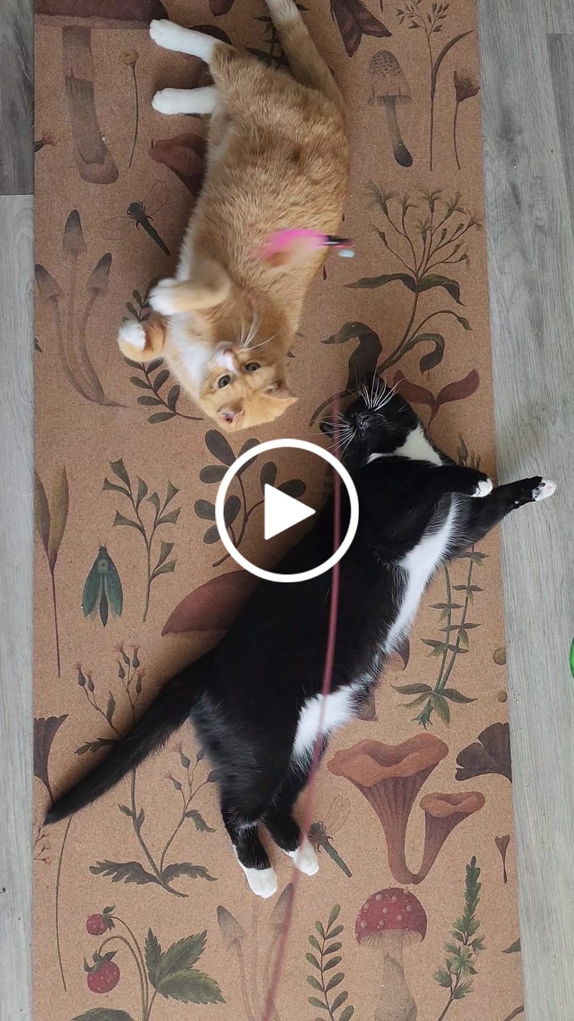 Customer video review of Myco Forest Cork Yoga Mat | Standard 4.5MM or X-Thick 6MM