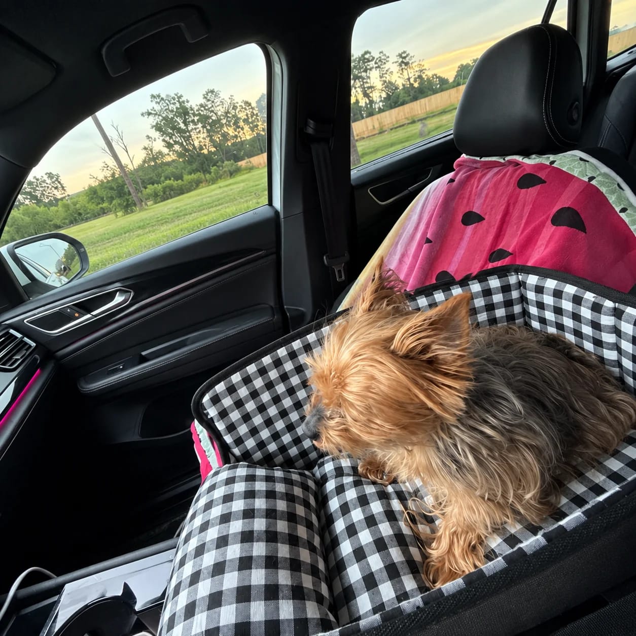 Customer photo review of Console Pet Car Seat