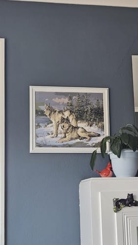 Customer photo review of Couple de Loups