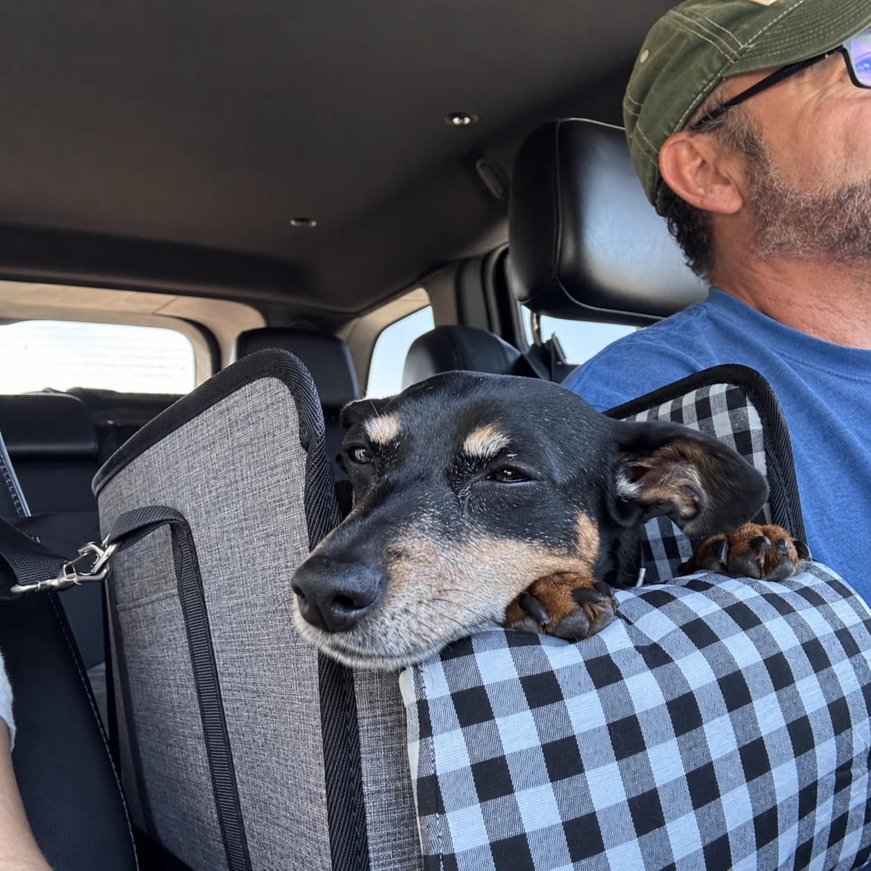 Customer photo review of Console Pet Car Seat