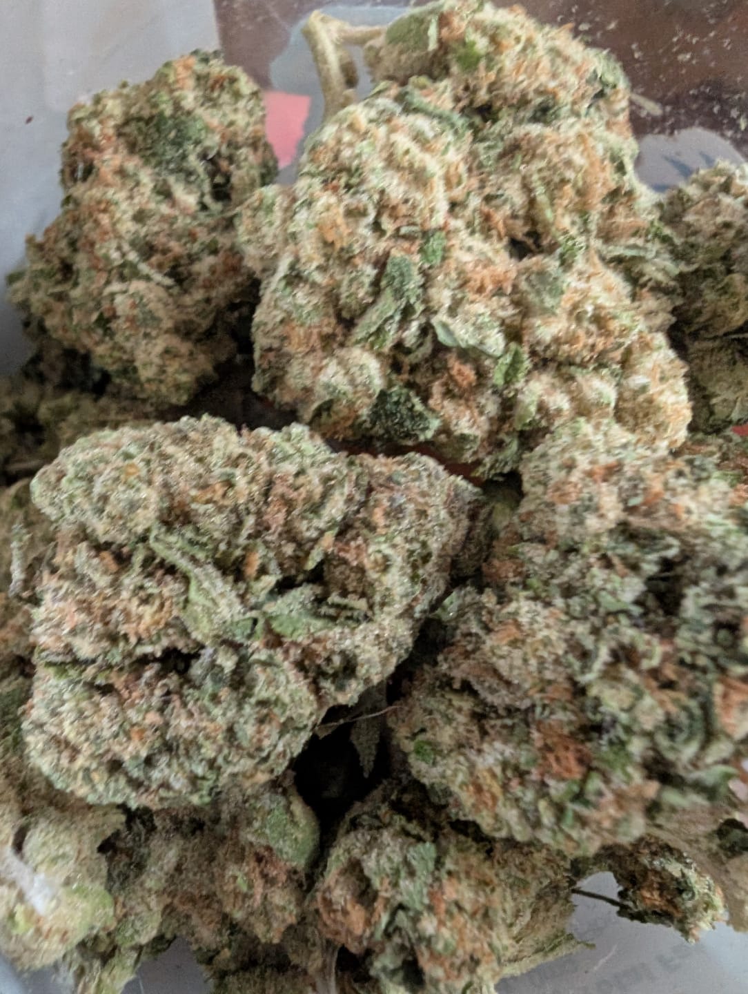 Customer photo review of Cheap Indoor THCA Flower Ounce