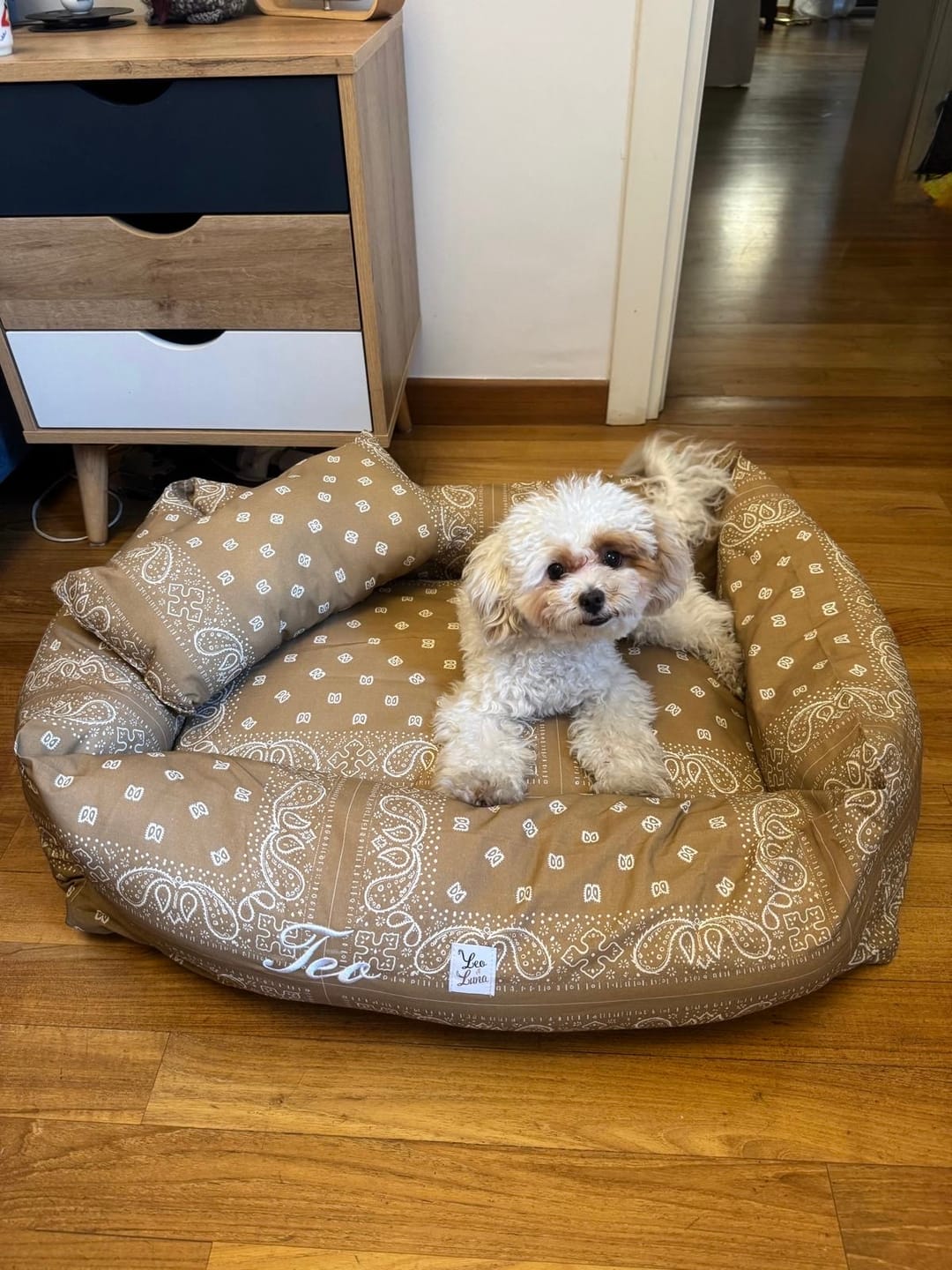 Customer photo review of Cover Divanetto per Cani Bandana Beige | Leo e Luna