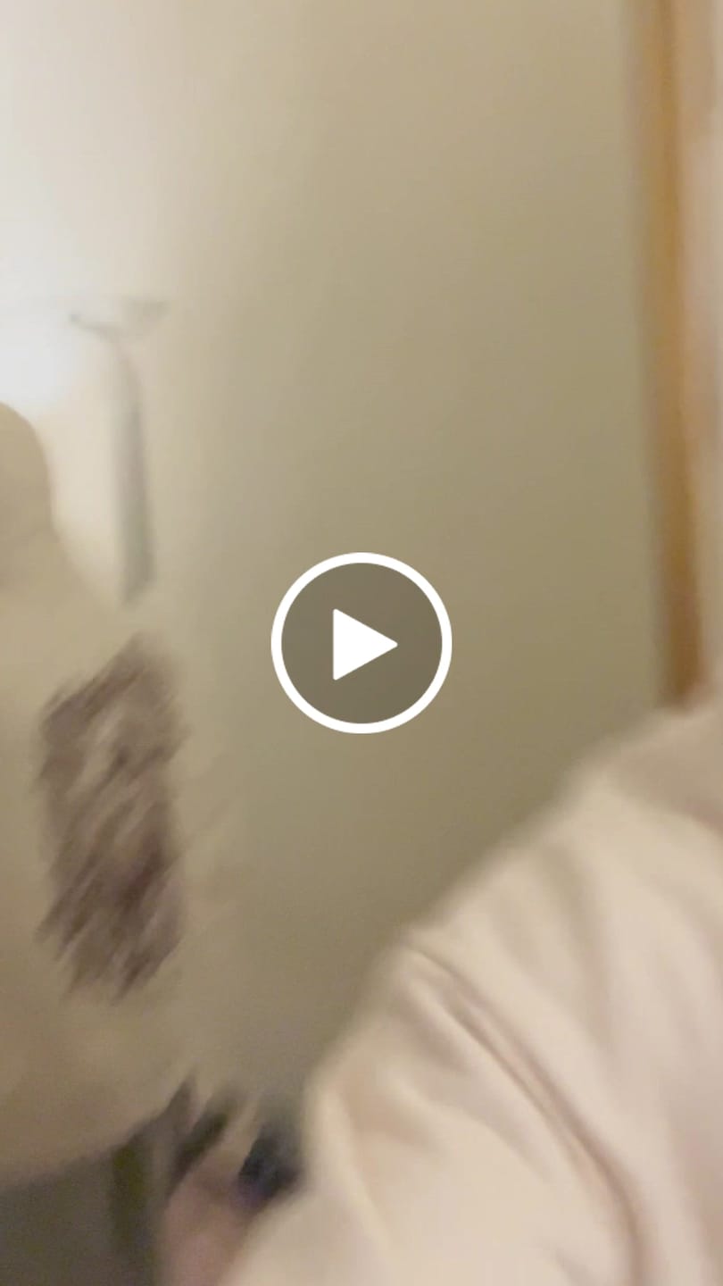 Customer video review of Proverbs 16:3 Hoodie - Cream