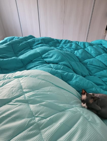 Customer photo review of Edredón 2 en 1 – que elimina neccesidad de sábanas
