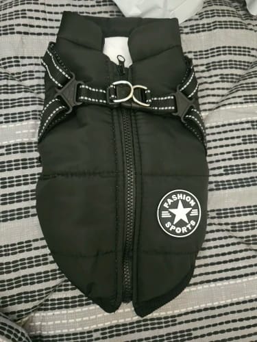 Customer photo review of Manteau imperméable pour Chien