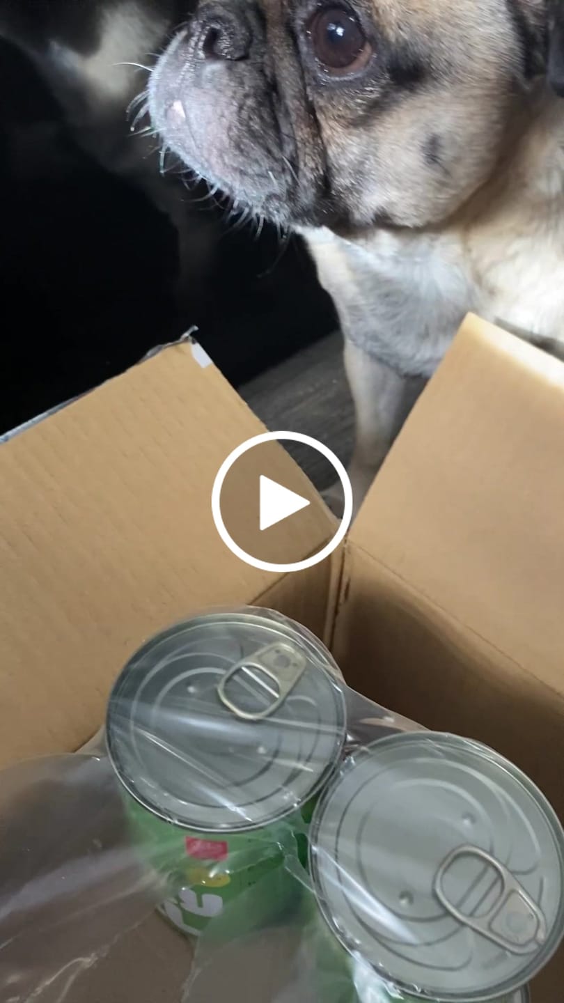 Customer video review of Pâtée Boeuf pour Chien - 4. 285684 Mig
