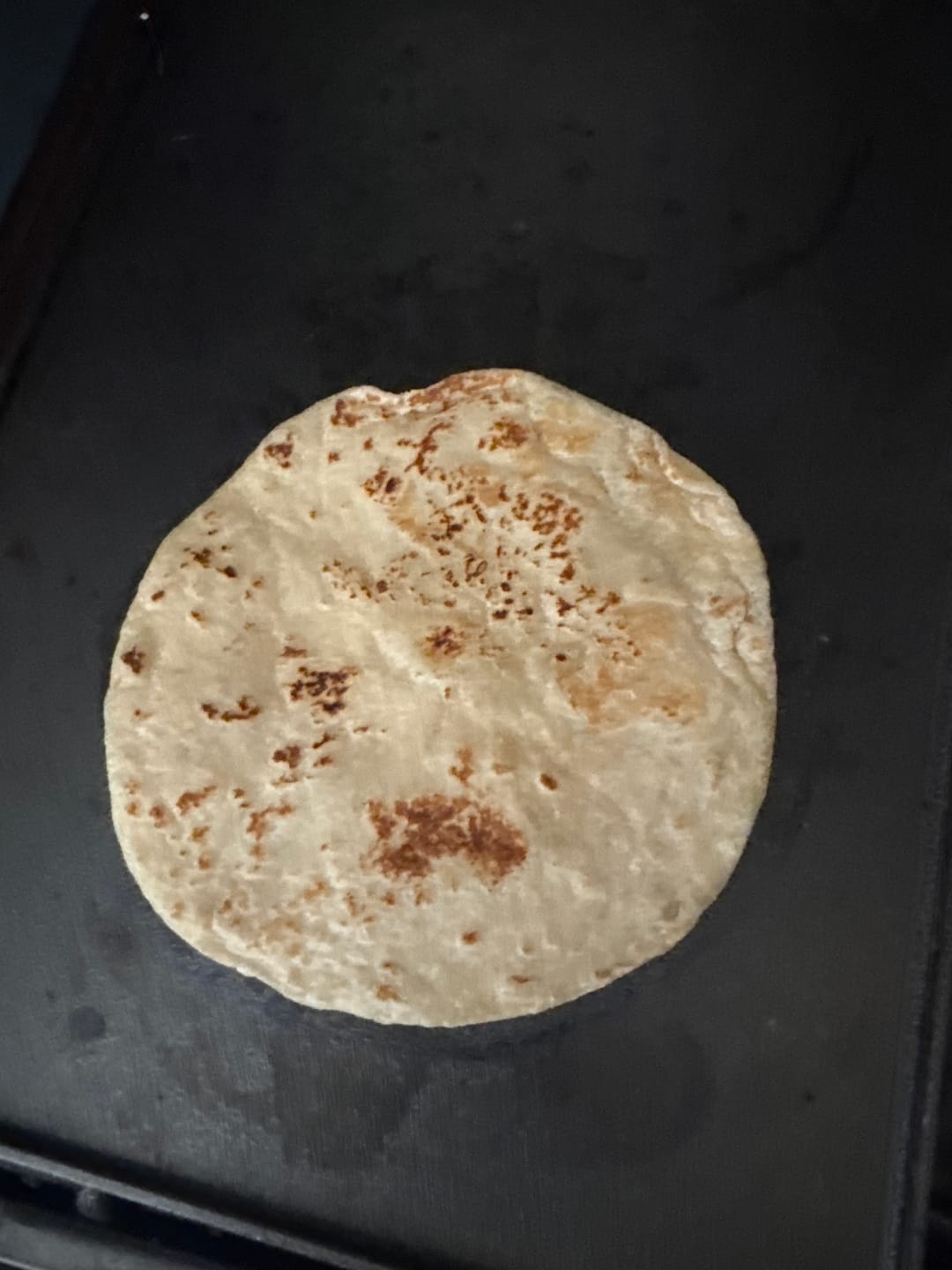 Customer photo review of 1 Gallon Organic Grass-Fed Beef Tallow