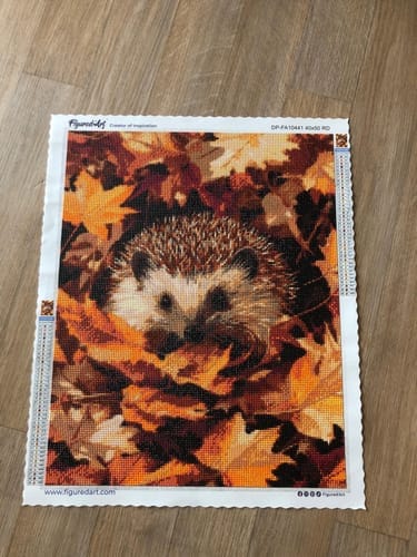 Customer photo review of Broderie Diamant - Hérisson dans les feuilles d'Automne