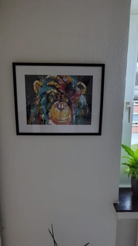 Customer photo review of Babouin Pop Art