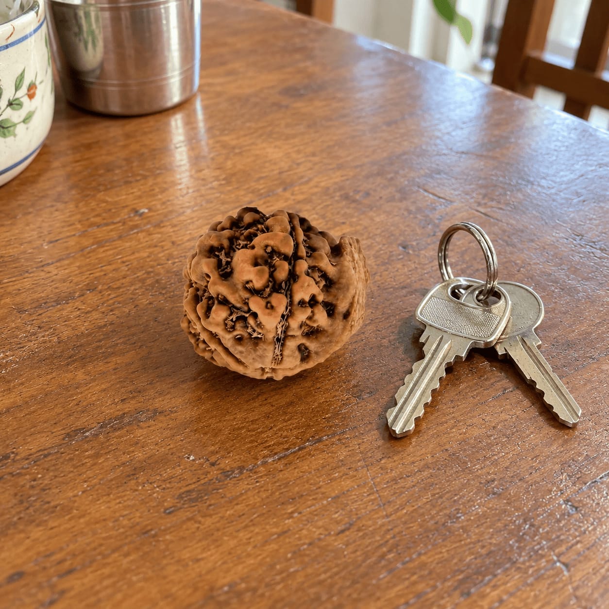 Customer photo review of Ganesh Mukhi Rudraksha (Nepali)