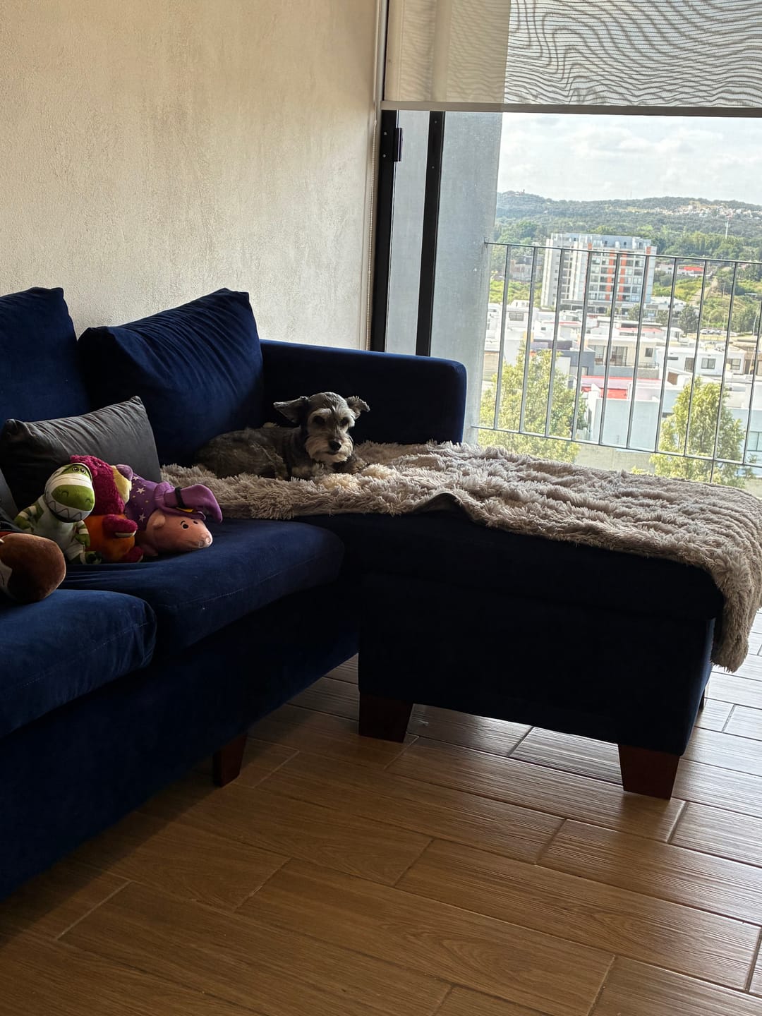 Customer photo review of Cobija Impermeable para Perros