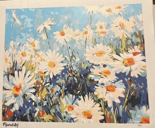 Customer photo review of Champ de Marguerites et Ciel bleu