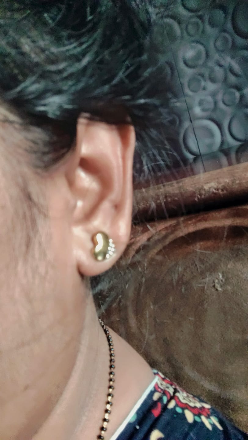 Customer photo review of Stone Studded Heart Earrings