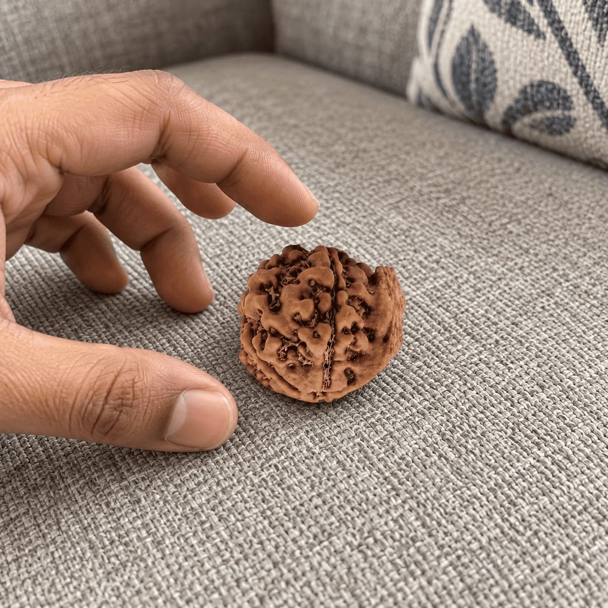 Customer photo review of Ganesh Mukhi Rudraksha (Nepali)