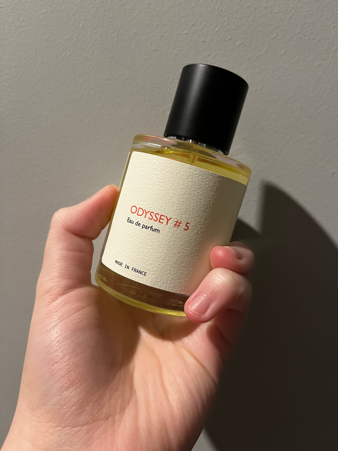Customer photo review of Odyssey #5