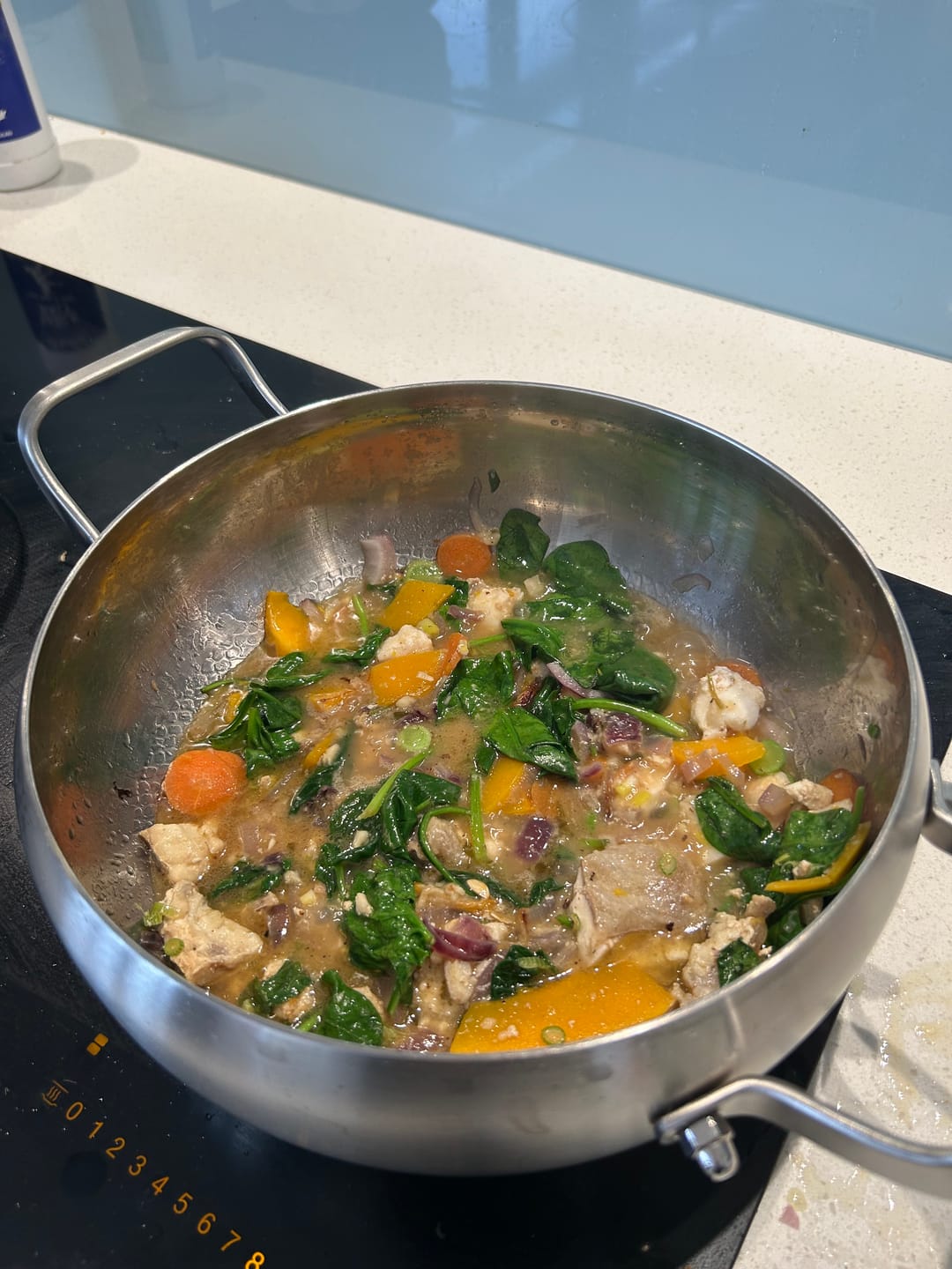 Customer photo review of Hand-Hammered Deep Titanium Pot
