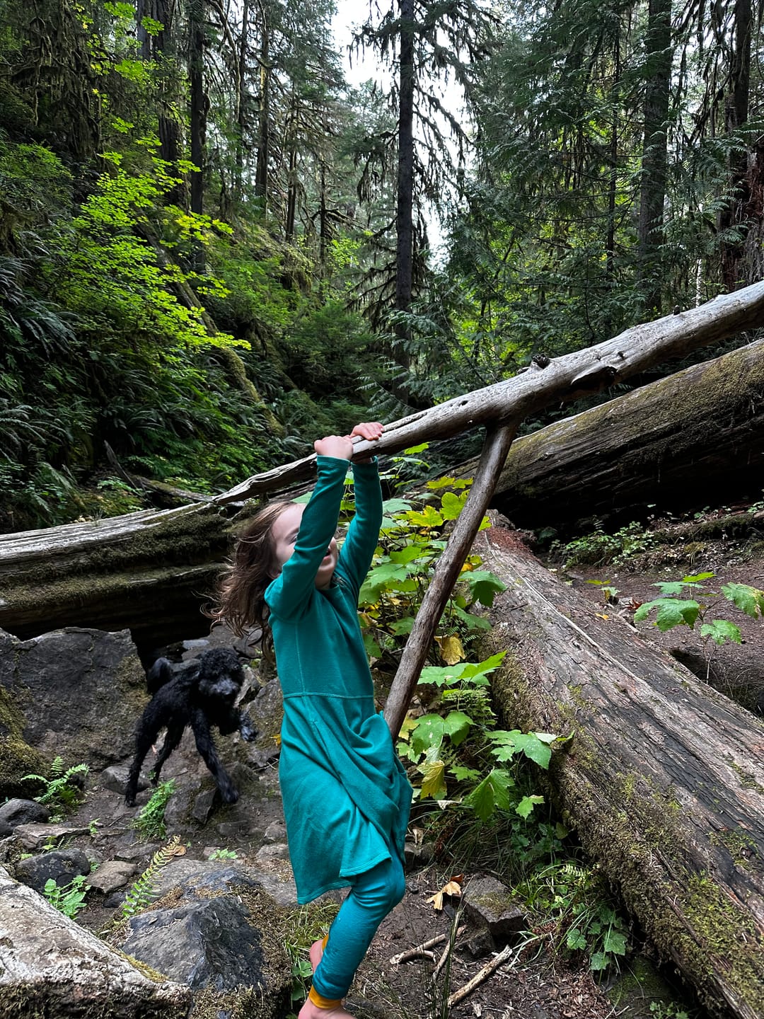 Customer photo review of Kids Merino Wool Adventure Dress