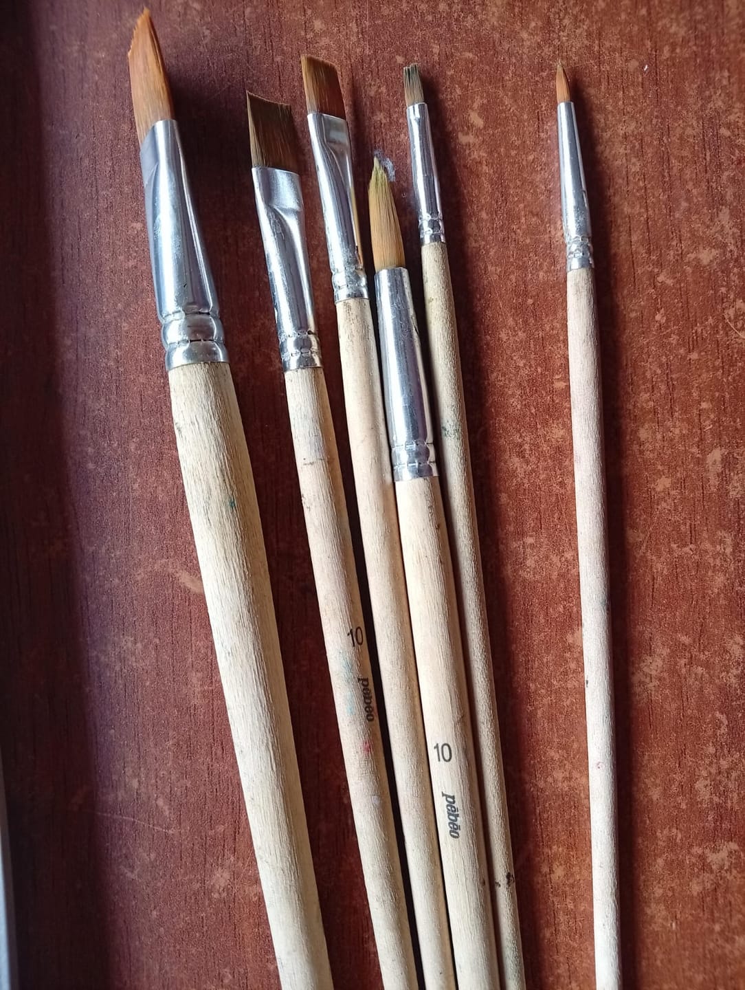 Customer photo review of Pebeo - Set 8 Pinceles Acrílico y Óleo Largos Pelo Sintético Café