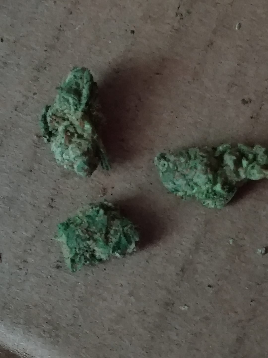 Customer photo review of Lemon Sherbs - Minis - 28 Grams - Indica