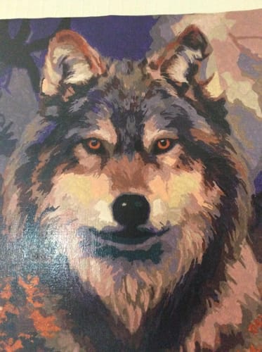 Customer photo review of Tête de loup
