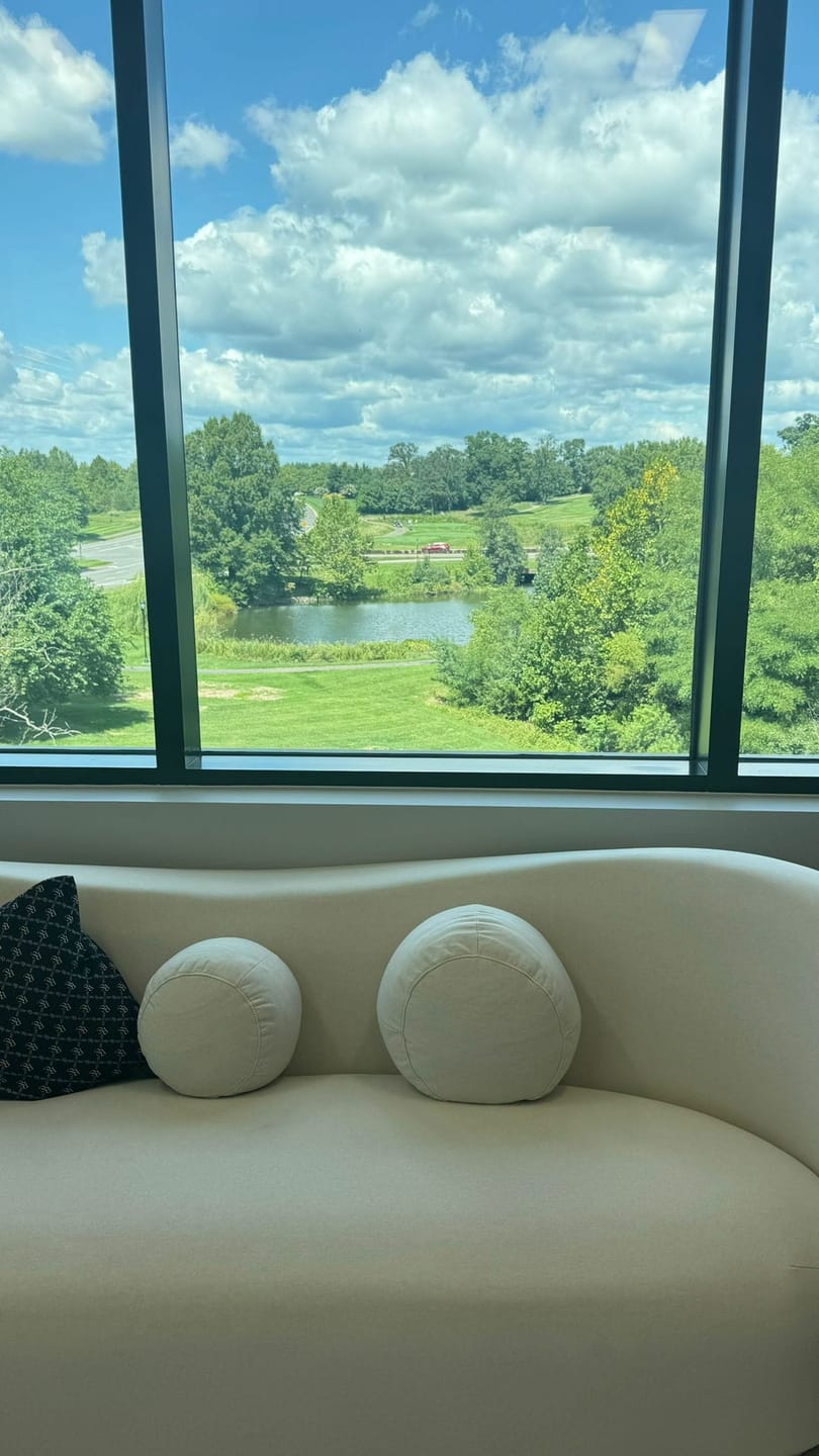 Customer photo review of Diane Form Sleeper Sofa